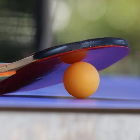 Holiday home Les Grands Arbres