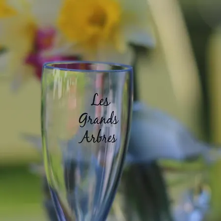 Les Grands Arbres * Merville (Nord)