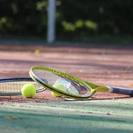 Holiday home Les Grands Arbres *