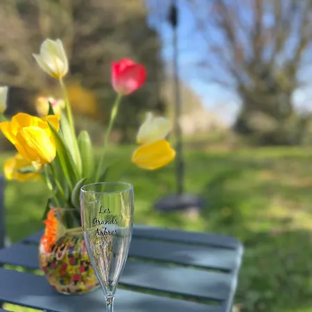 Les Grands Arbres * Merville (Nord)